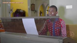 AULAYE MWILI WANGU  SB MUJWAHUKI ORGAN SOLOINSTRUMENTAL TANZANIA ORGANISTS SOCIETY TOS [upl. by Katti59]