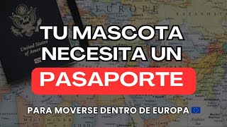 🐾 TU MASCOTA NECESITA UN PASAPORTE 🇪🇺 shorts pasaporte emigrar argentinosenespaña [upl. by Leuqram]