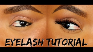 How To Apply False Eyelashes amp Individual Lashes  Ellarie [upl. by Sharline]