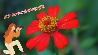 Flower photography Nikon D5200 Camera with Manual Focus [upl. by Asenej]