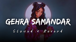 Gehra Samanad Dil Dooba Jisme  Lofi  Slowed  Reverd  Lofi Vibes ll [upl. by Thorwald]