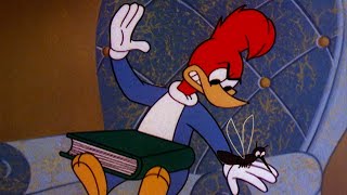 The Mosquito Wont Leave Woody Alone  25 Hours of Classic Episodes of Woody Woodpecker [upl. by Tdnaltroc]