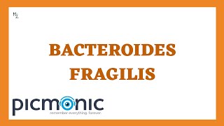 Bacteroides fragilis its Morphology Pathogenesis Lab Dx Treatment ft PicmonicVideoNursing [upl. by Eyeleen]