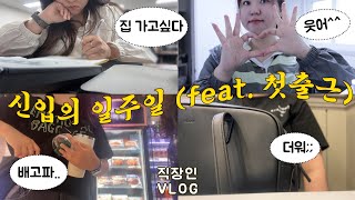 vlog 직장인 브이로그  신입의 업무 적응기  해야할 일이 계속 늘어나네 [upl. by Meensat]