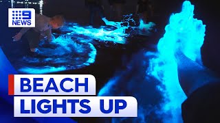 Beach glows as bioluminescent algae shows up in SA  9 News Australia [upl. by Ahsennek]