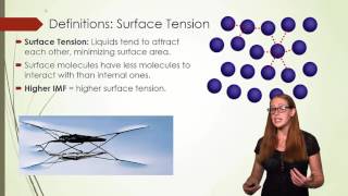 Surface Tension Viscosity and Capillary Action [upl. by Mendel427]