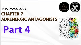 Pharmacology  adrenergic antagonist part 4 المنهج الوزاريّ الموحد [upl. by Niwdog]