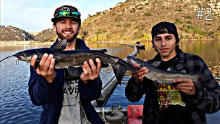 Catching Catfish At Lake Poway Trout Opener [upl. by Alaecim]