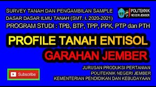 PROFILE TANAH ENTISOL GARAHAN JEMBER SURVEY TANAH DAN PENGAMBILAN SAMPLEDASAR DASAR ILMU TANAH [upl. by Neelik]