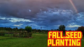 FALL SEED PLANTING TIME IN TEXAS [upl. by Nyrual612]