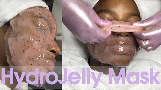 HydroJelly Mask  FULL Application and Removal [upl. by Chard391]