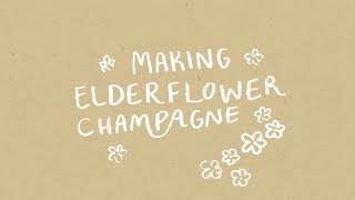 making elderflower champagne [upl. by Karlie]