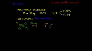 MAGNITUDES ESCALARES Y VECTORIALES [upl. by Eniaj]