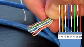 How to Crimp RJ45 Cat 5 Cat 6 Internet Cable NETVN [upl. by Dinah]