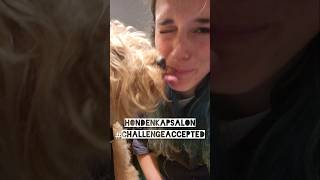 Een makeover voor labradoodle Baloe 🐕 bij Trimsalon Bofkont [upl. by Omissam]