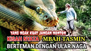 Geger  Dikira Tonggak Kayu Ternyata Ular Naga Bertapa Muncul Saat Mbah Tasmin Datang [upl. by Ainitsirk]