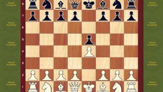 Chess Opening Book Leonardis Variation Opening [upl. by Delp]