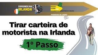 1° Passo  Carteira de Motorista na Irlanda  Aplicar para o teste teórico [upl. by Ahtera]