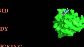 Proteinoligosaccharide HADDOCKing [upl. by Balsam]