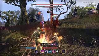 ESO World Boss Druitulargs Ritual Altar Deshaan [upl. by Anividul]