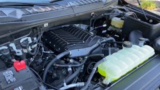 GEN 5 WHIPPLE SUPERCHARGER on an F150  Beechmont Ford Performance [upl. by Notyap131]