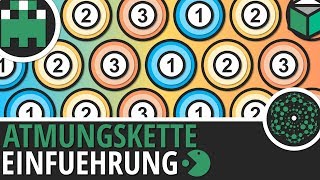 Atmungskette Einführung einfach erklärt│Biologie Lernvideo Learning Level Up [upl. by Thalassa]