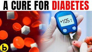 There Could Finally Be A Cure For Diabetes [upl. by Zerimar973]