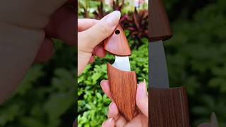 Pocket knife outdoor knife delivery knife knife FruitKnife YTShorts [upl. by Jenesia708]