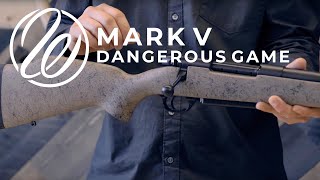 Mark V Dangerous Game Rifle [upl. by Naujd]