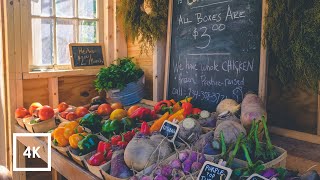 Bodrum Beach Old Bazaar Walking Tour  4k UHD 60fps [upl. by Kean]