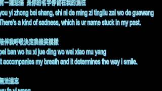 you yi zhong bei shang 有一種悲傷 A Lin lyrics [upl. by Namrak]