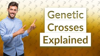 What is a genetic cross in GCSE biology [upl. by Babbie382]