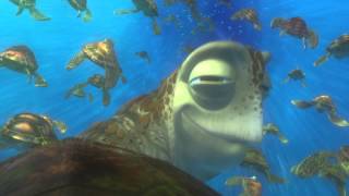 FINDING NEMO 3D Clip  Exit Buddy [upl. by Balthasar]