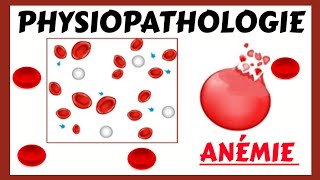 Les ANÉMIES et leur PHYSIOPATHOLOGIE [upl. by Christianity]