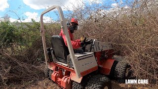 Mowing down 15FT TALL Thorn Bushes with the VENTRAC Tough Cut You wont believe this [upl. by Sidoma]