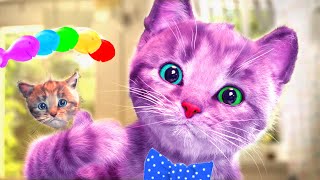 FUNNIEST CUTE LITTLE KITTEN ADVENTURE  CARTOON KITTY AND ANIMAL FRIENDS ON THE ROAD  LONG SPECIAL [upl. by Kcirddehs]