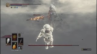 another nameless king glitch [upl. by Hankins]