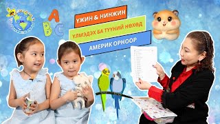 S1E22 👯‍♀️🦜 АҮжин amp АНинжин ☀️ Үлмэдэх ба түүний нөхөд  Үлмэдэх Aмерик орноор 🇺🇸 [upl. by Sandor]