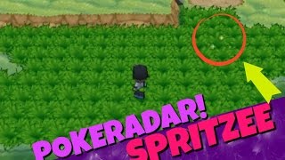 EPIC SHINY SPRITZEE  SPARKLE GRASS 40 POKERADAR CHAIN POKEMON XY  SHINY HUNTING [upl. by Enyrhtac646]