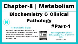 Chapter8  Metabolism  Part1  Biochemistry amp Clinical Pathology  Metabolism of Carbohydrates [upl. by Schulman]