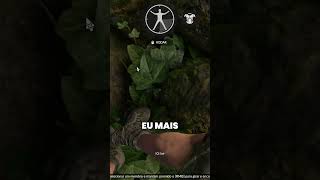 EXPLORAR A FLORESTA AMAZÔNICA 🏕️ games jogos gaming greenhell [upl. by Thanasi]