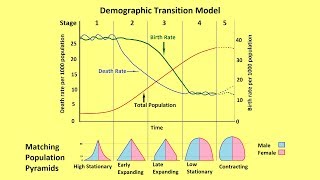 Why Populations Grow and the Demographic Transition Model [upl. by Chainey]