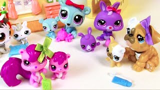 LPS Mommies Series Mommy and Baby Littlest Pet Shop HAUL Opening toy review REUPLOAD [upl. by Kolk]