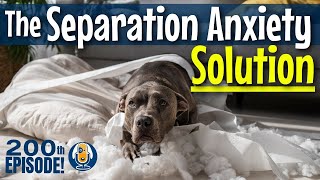 Solve Your Dogs Separation Anxiety With FRIDA Expanding Calm With Functional Relaxation 200 [upl. by Phelia]