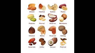 Nut types  nut names in English [upl. by Clift139]