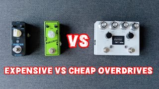 Browne Amplification The Protein VS Mooer Blues Crab  Tone City Nobleman Comparison 🔥 [upl. by Elag711]