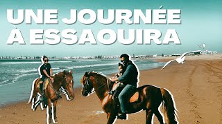 UNE JOURNÉE À ESSAOUIRA  VIVE LES CANARIES [upl. by Vtehsta893]