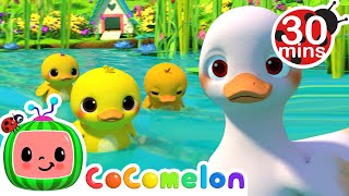 Five Little Duckies 30 MIN LOOP  Animal Songs For Kids [upl. by Drarrej]