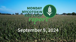 Monday Mycotoxin and Crop Report for September 9 2024 [upl. by Richmound]