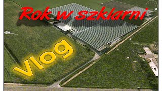 Rok w szklarni VLOG Wstęp [upl. by Yrolg]